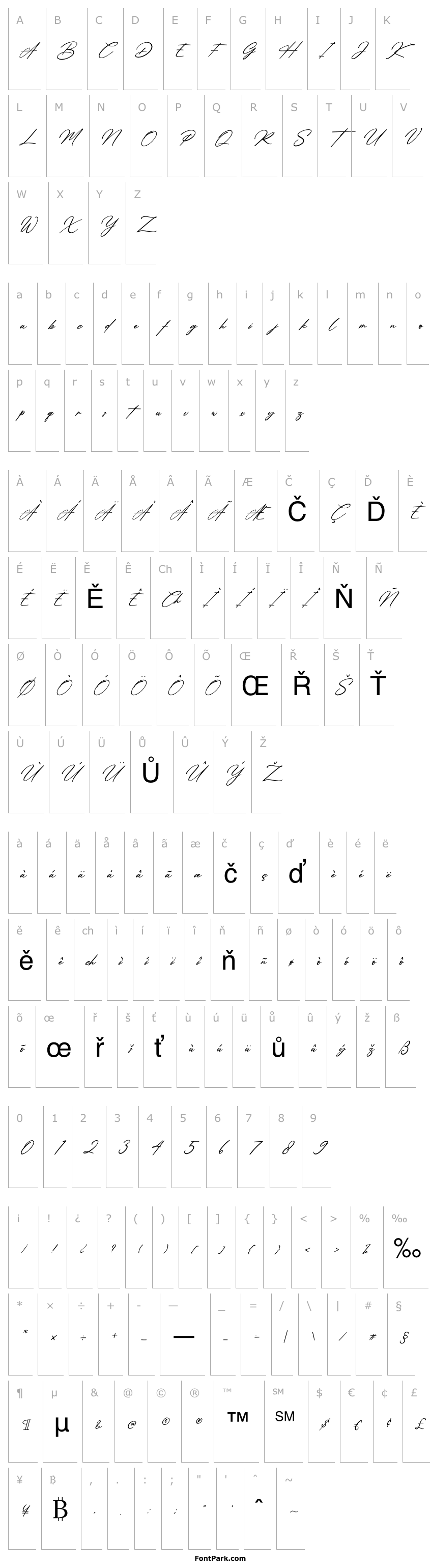 Overview Amsterdam Signature Italic