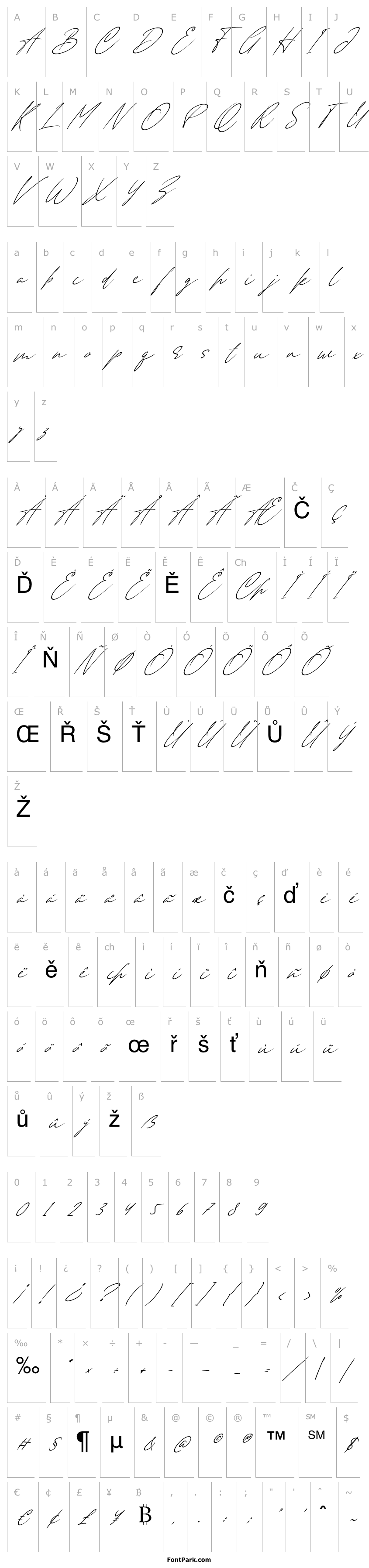 Přehled Anderson Signature Italic