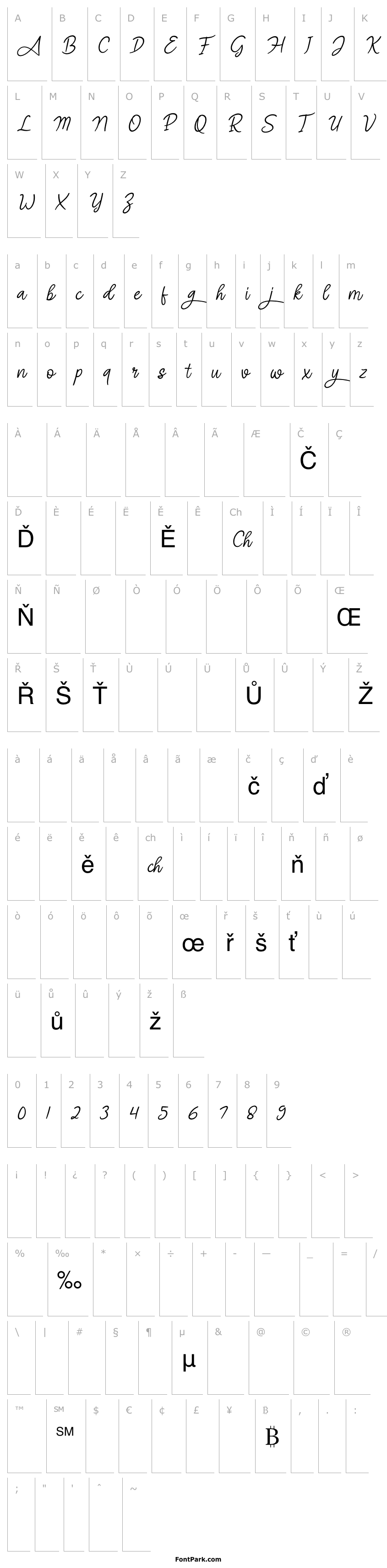 Overview Angel Signature Italic
