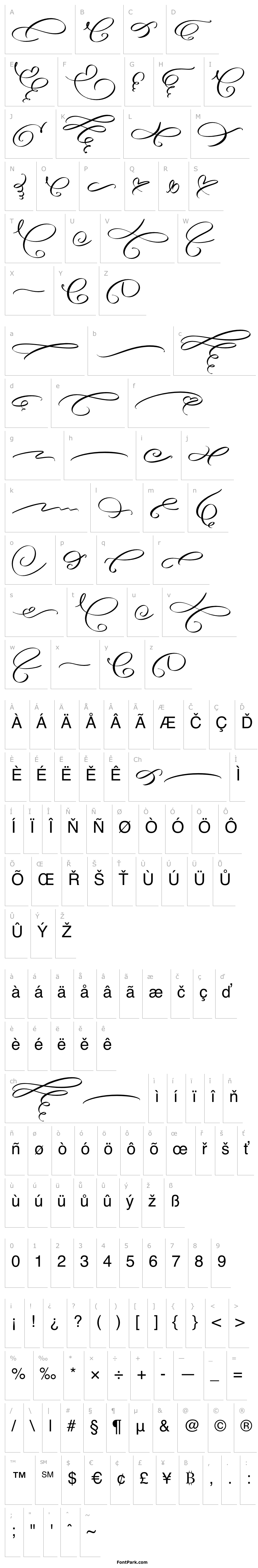 Overview Angella Gardness Swash