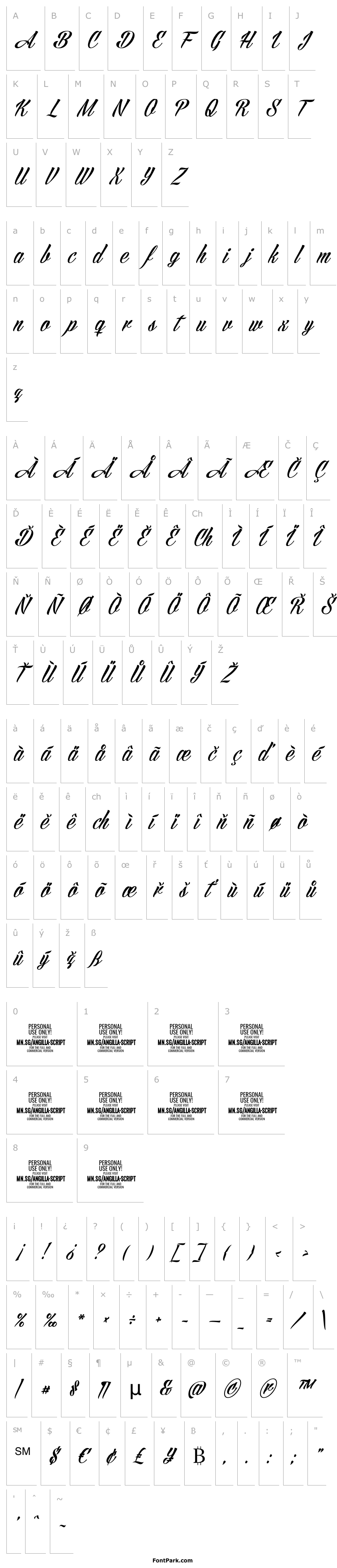 Overview AngillaScriptPERSONALUSE