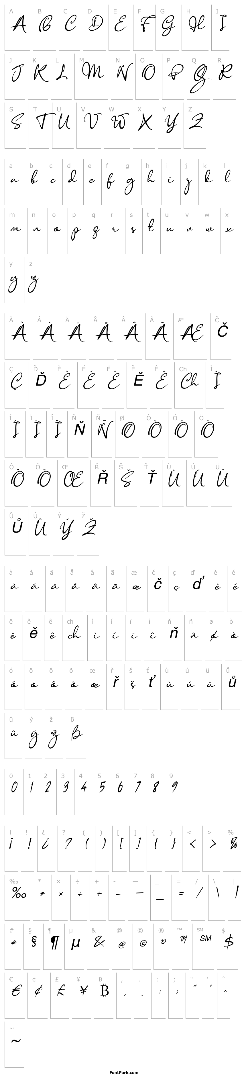 Overview Anisha Italic