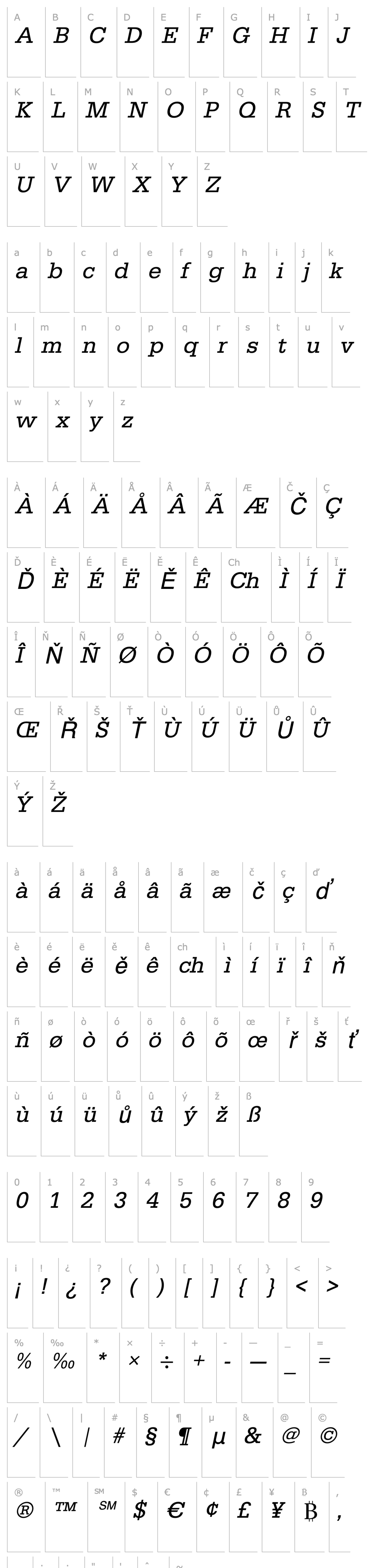 Overview AnitaBecker Italic