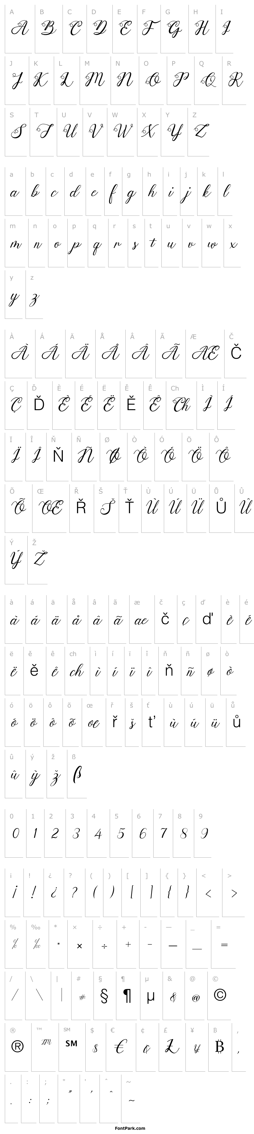 Overview Anjelina Modern Calligraphy
