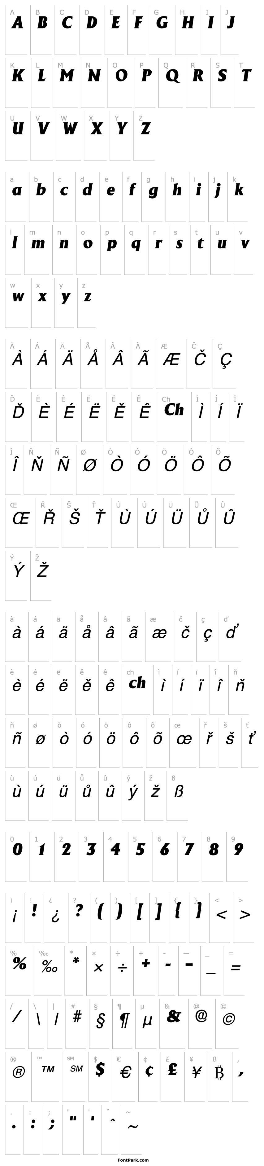 Přehled Ankura SSi Italic