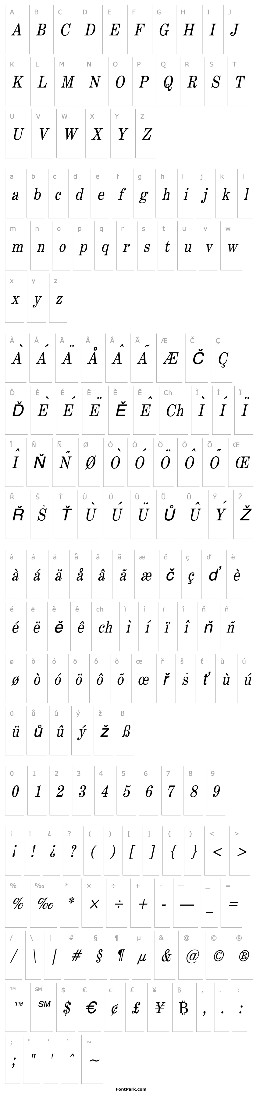 Overview Annual Condensed Italic