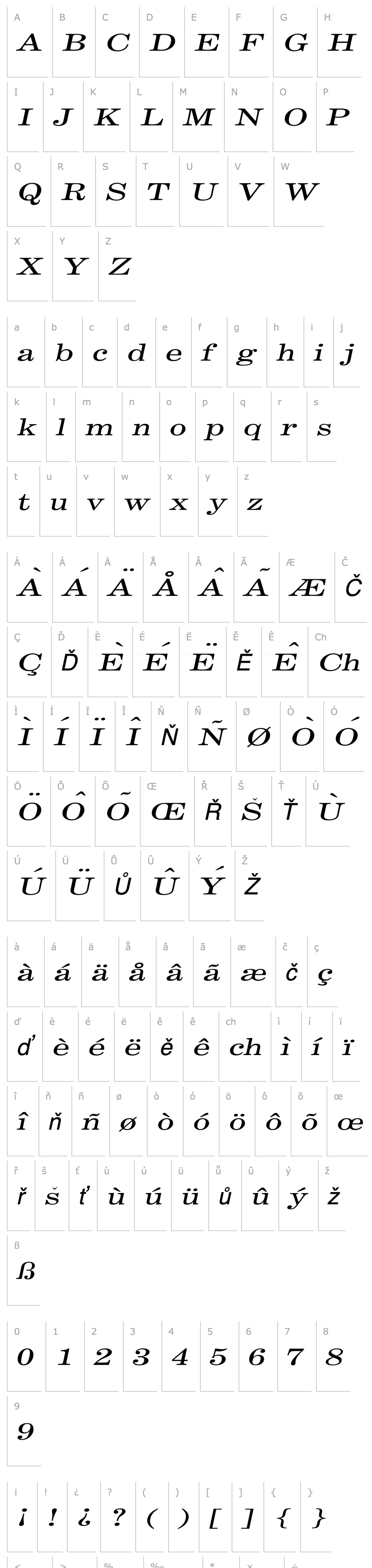 Overview Annual Extended Italic