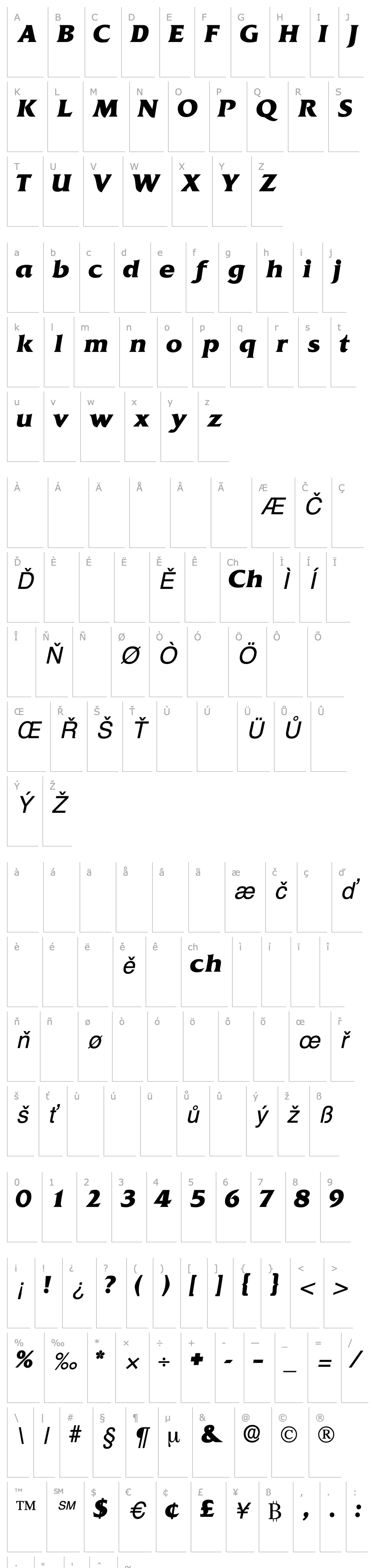 Overview AnticlaireDisplaySSK Italic