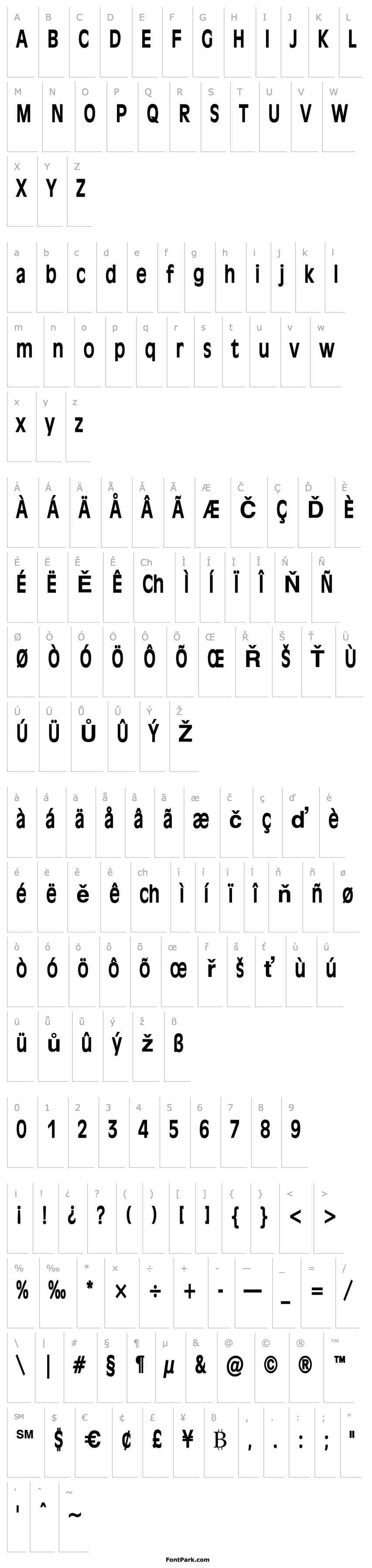 Přehled Antiqua 101 Thin Bold