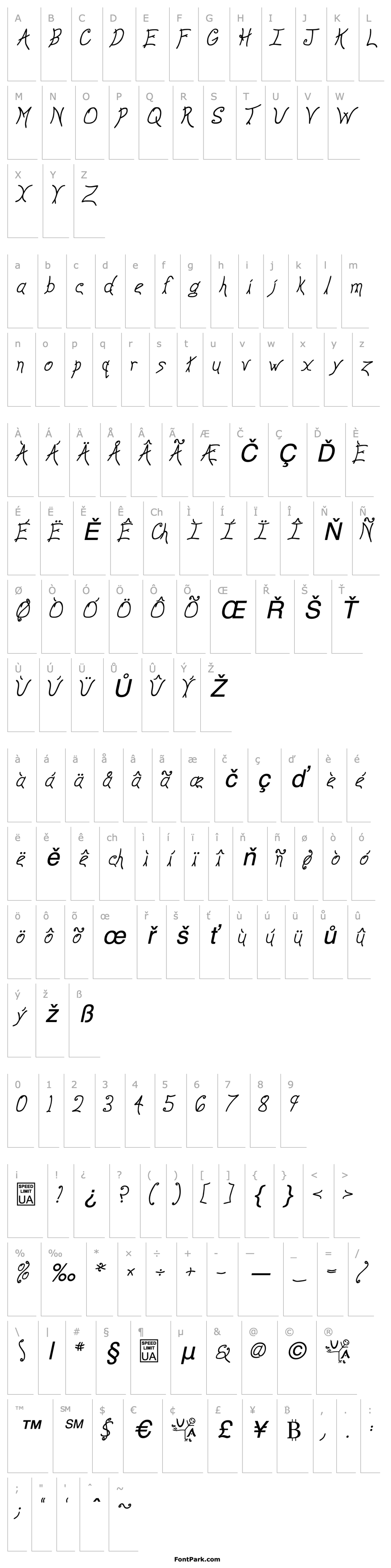 Overview Anyway Italic