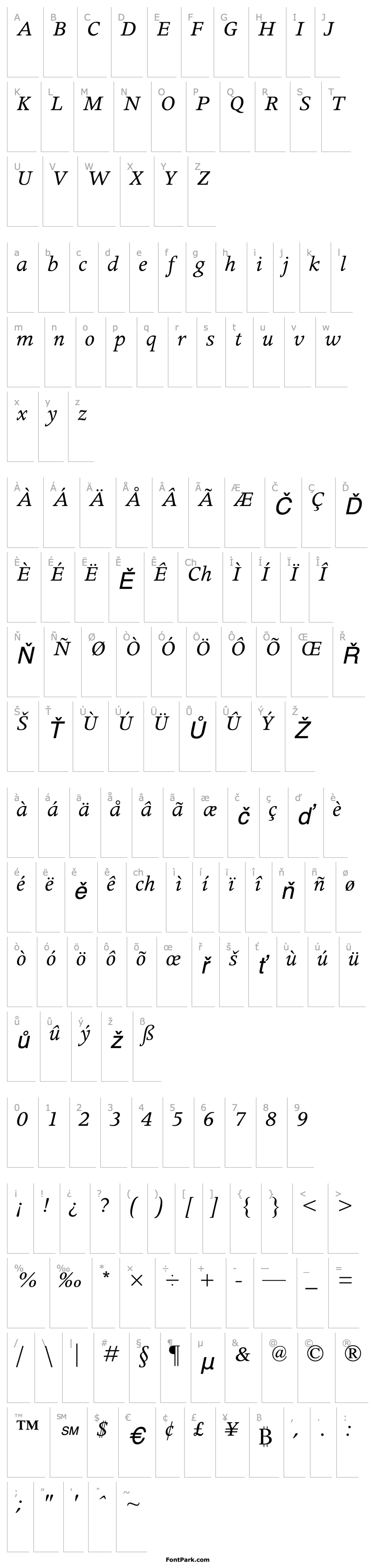 Přehled ApolloMT-Italic