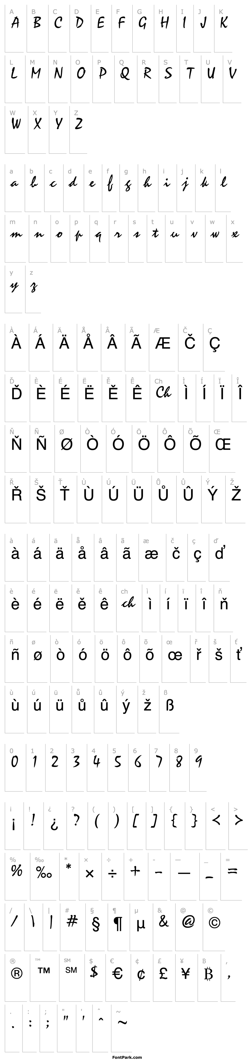 Přehled AR Script1 Bold