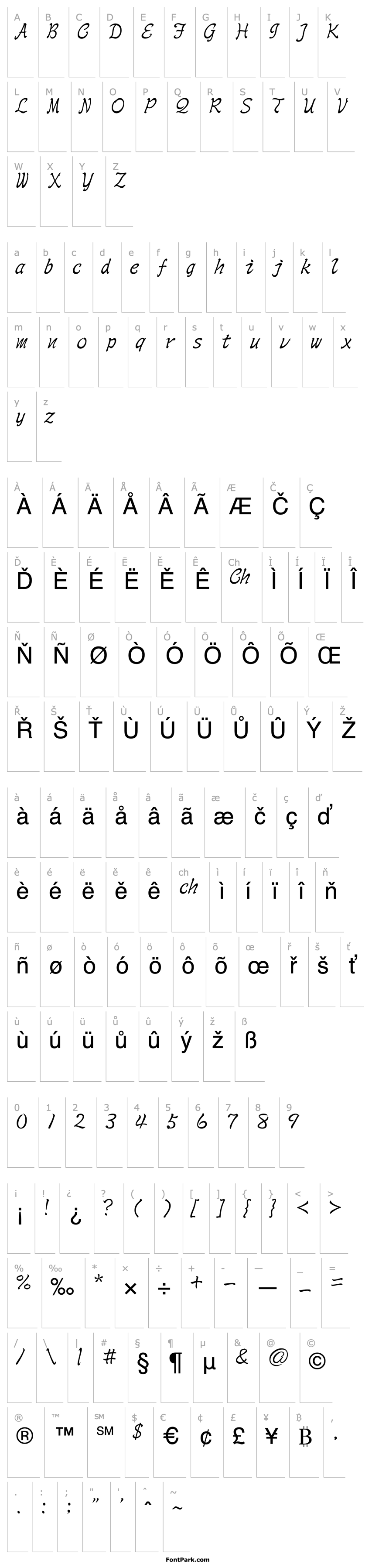 Přehled AR Script2 Medium