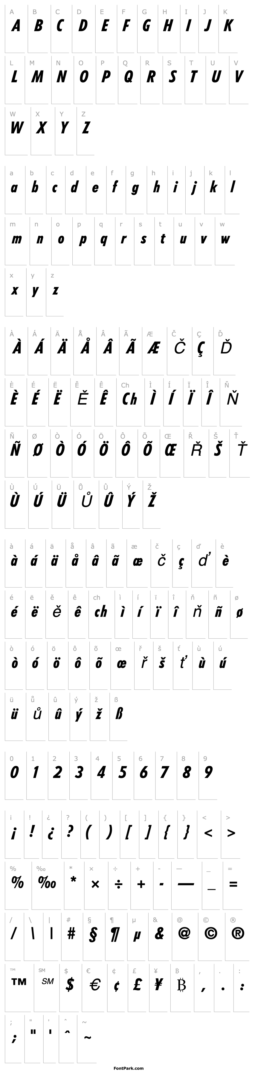 Overview ArcheBlackCondSSK Italic