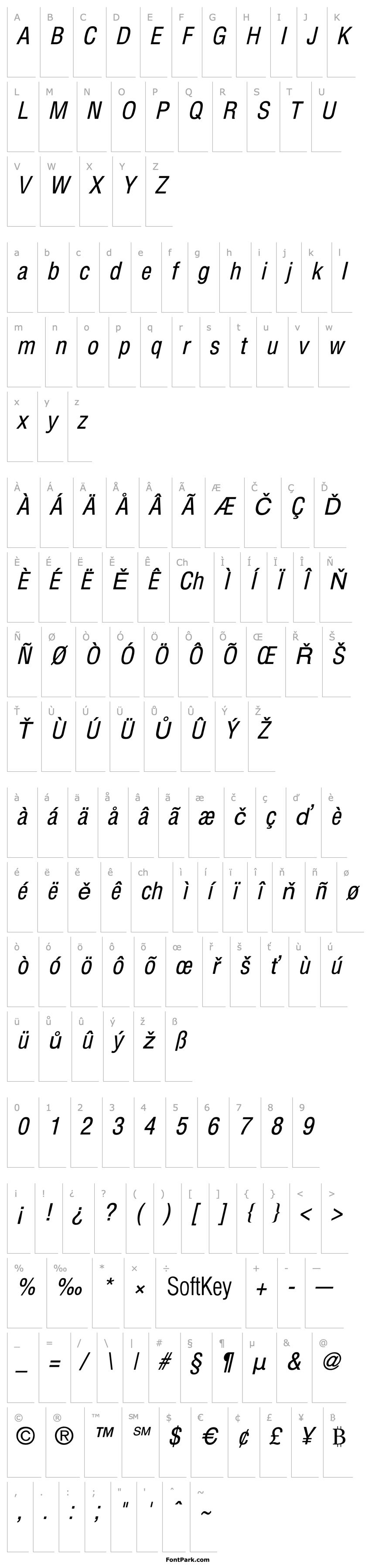 Overview Arena Condensed Italic