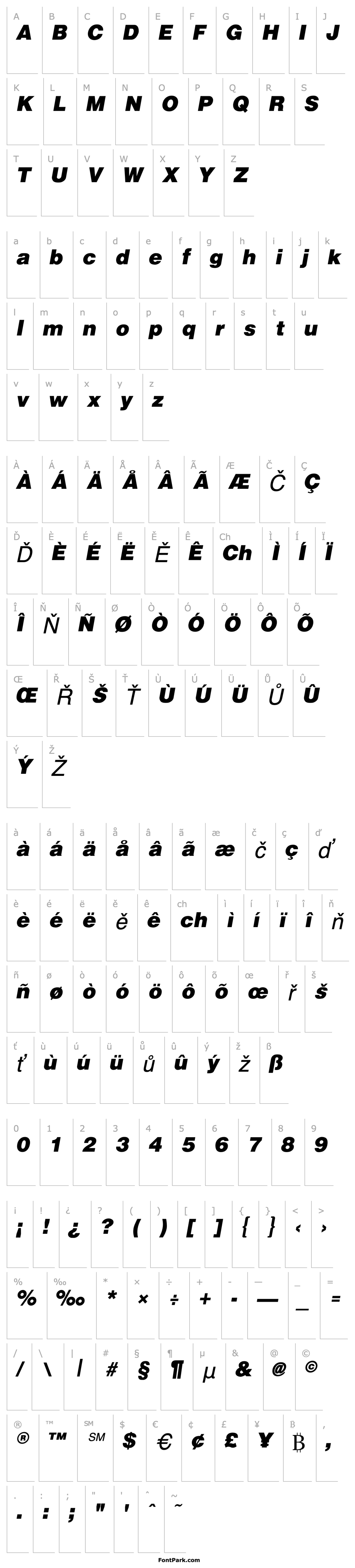 Přehled ArenaBlack Italic