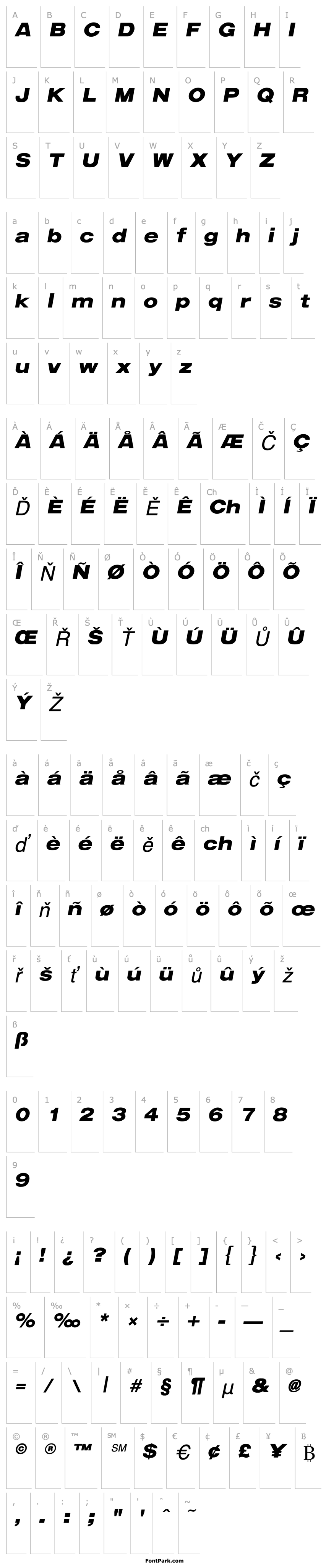 Přehled ArenaBlackExtended Italic