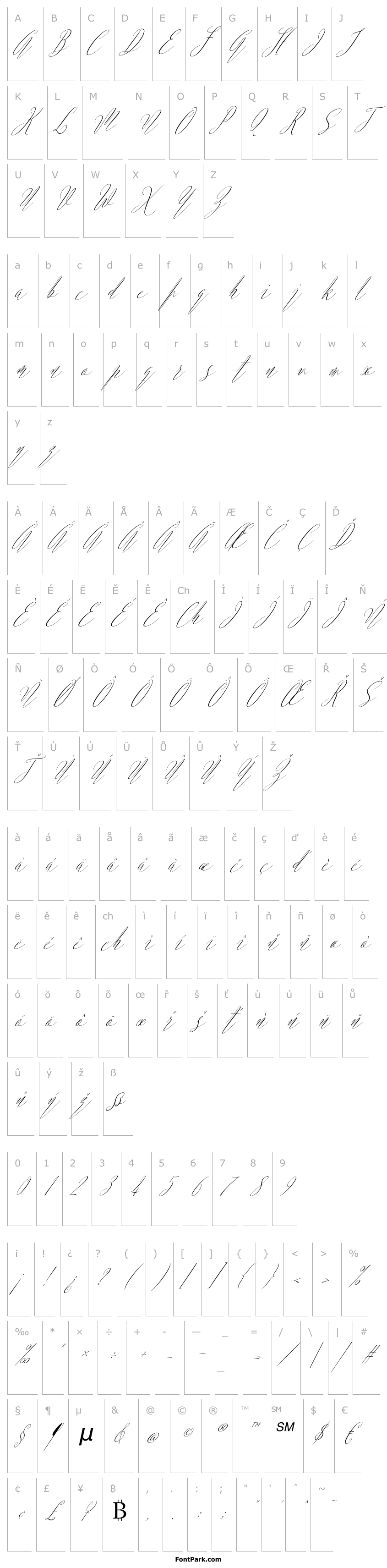 Přehled ArgentinaScript-Italic