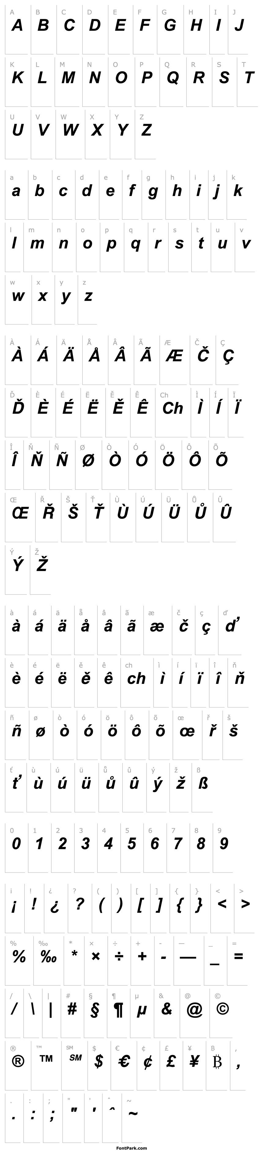 Overview Arial Bold Italic