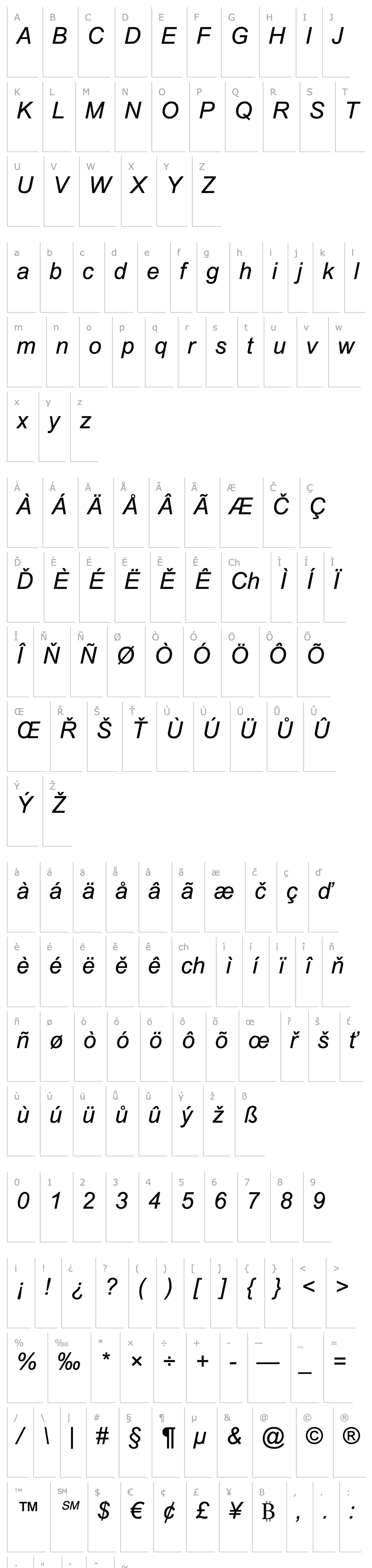 Overview Arial Italic