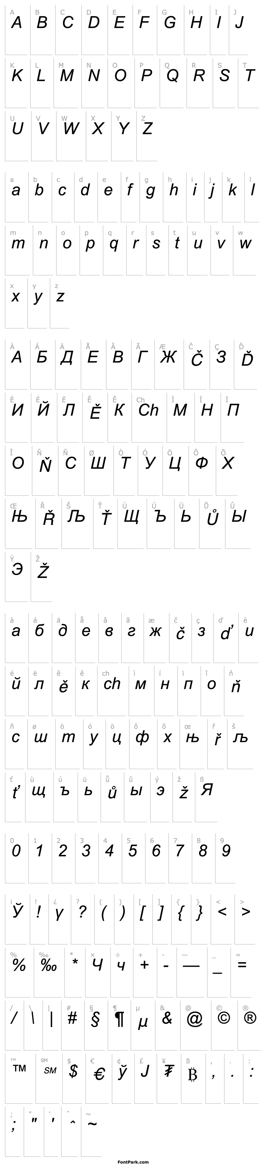 Overview Arial Mon Italic