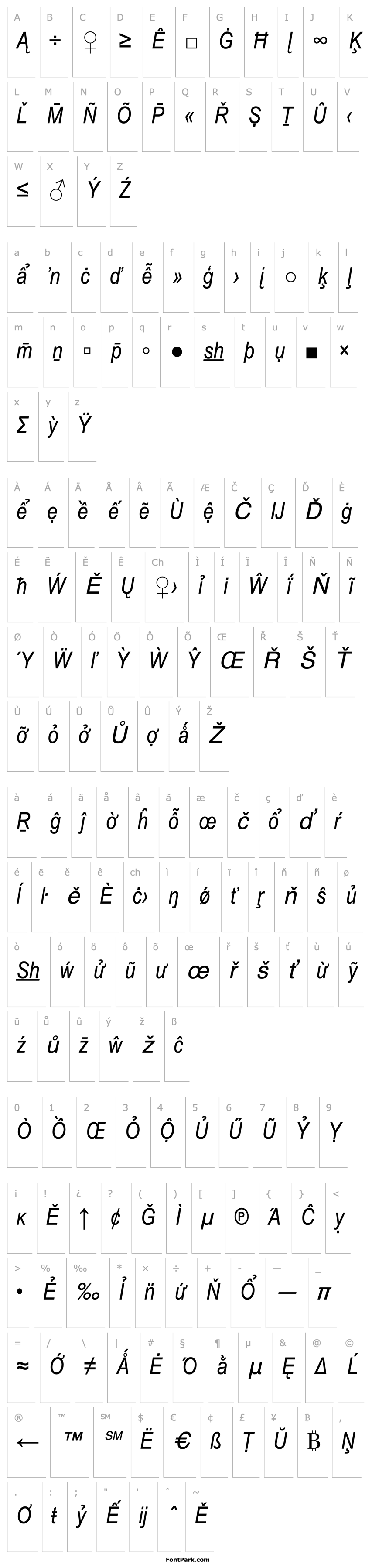 Overview Arial Narrow Special G2 Italic