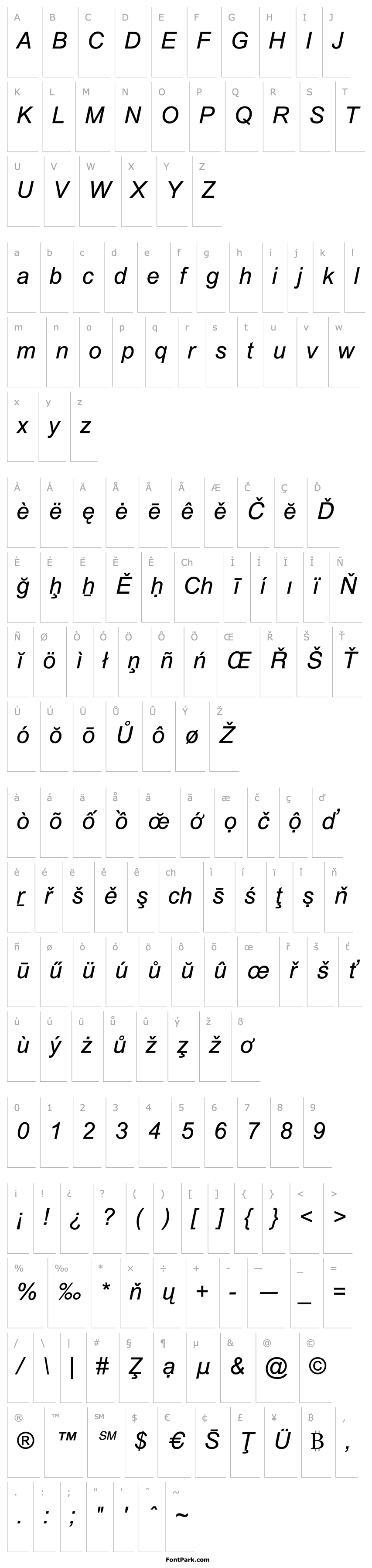 Overview Arial Special G1 Italic