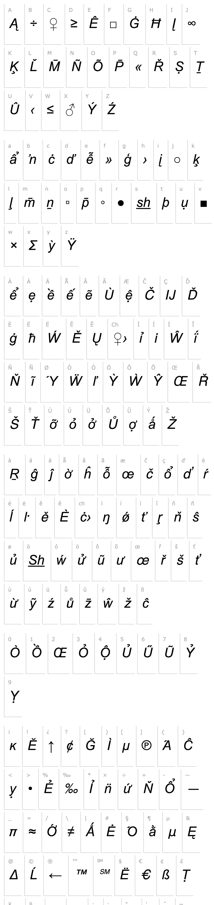 Overview Arial Special G2 Italic