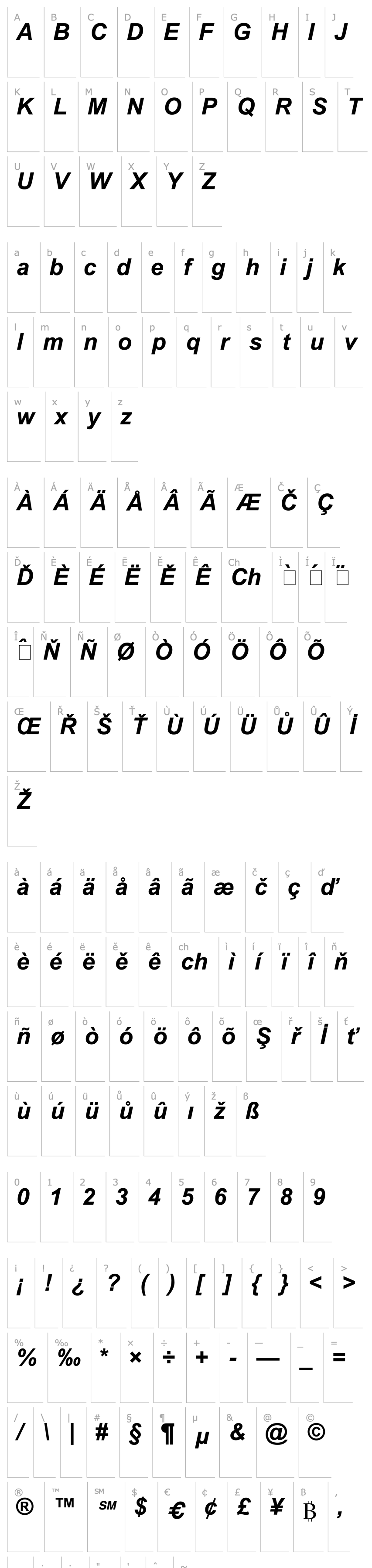 Overview Arial2 Bold Italic Turkce