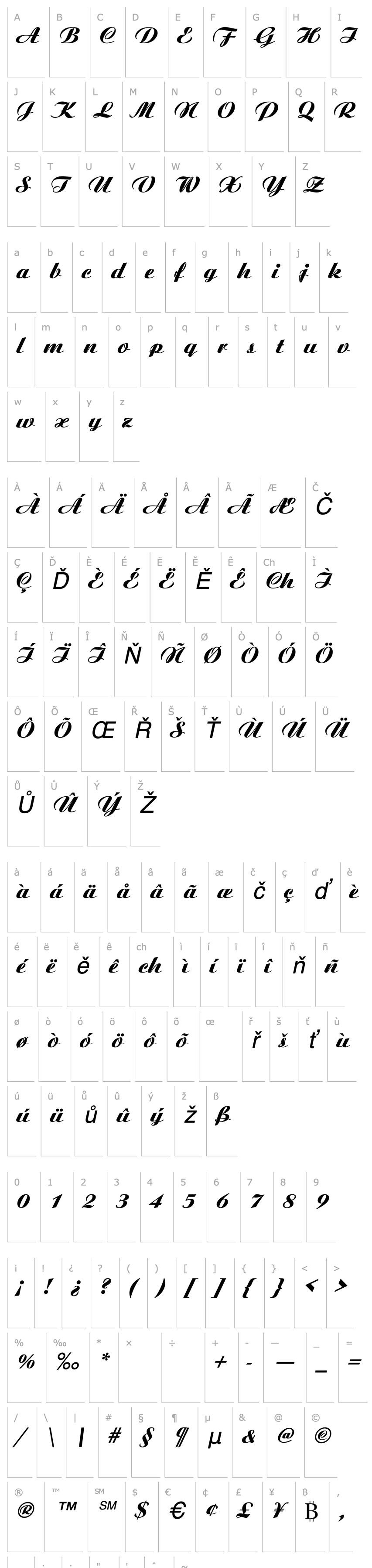 Overview Aristocrat Italic