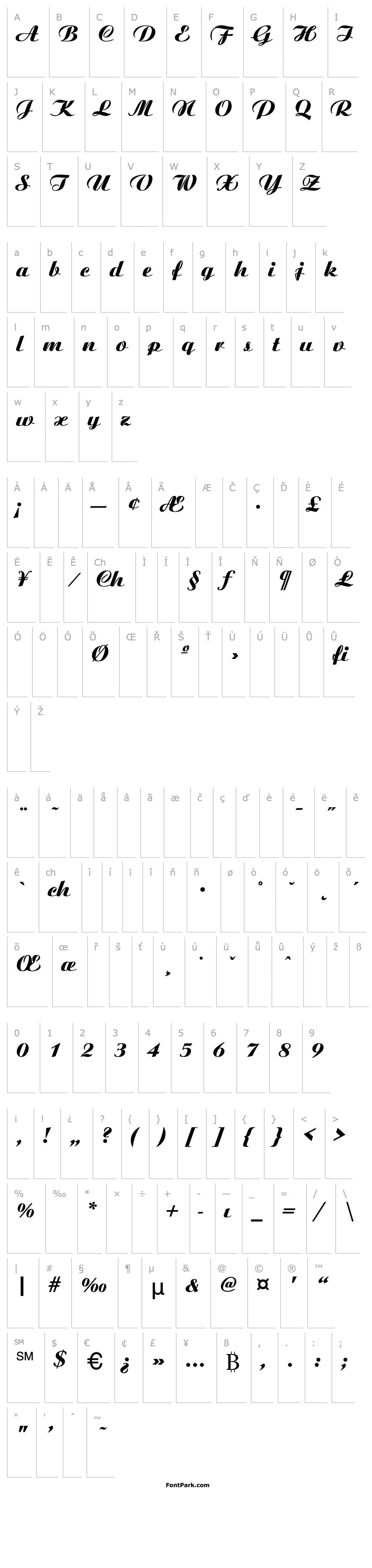 Přehled Ariston-ExtraBold-Italic