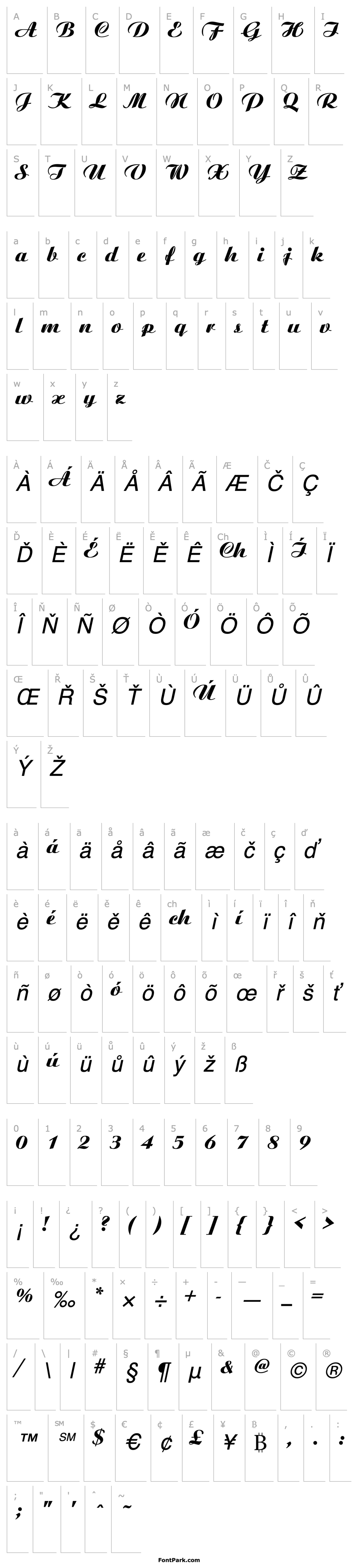 Overview Ariston Medium Italic