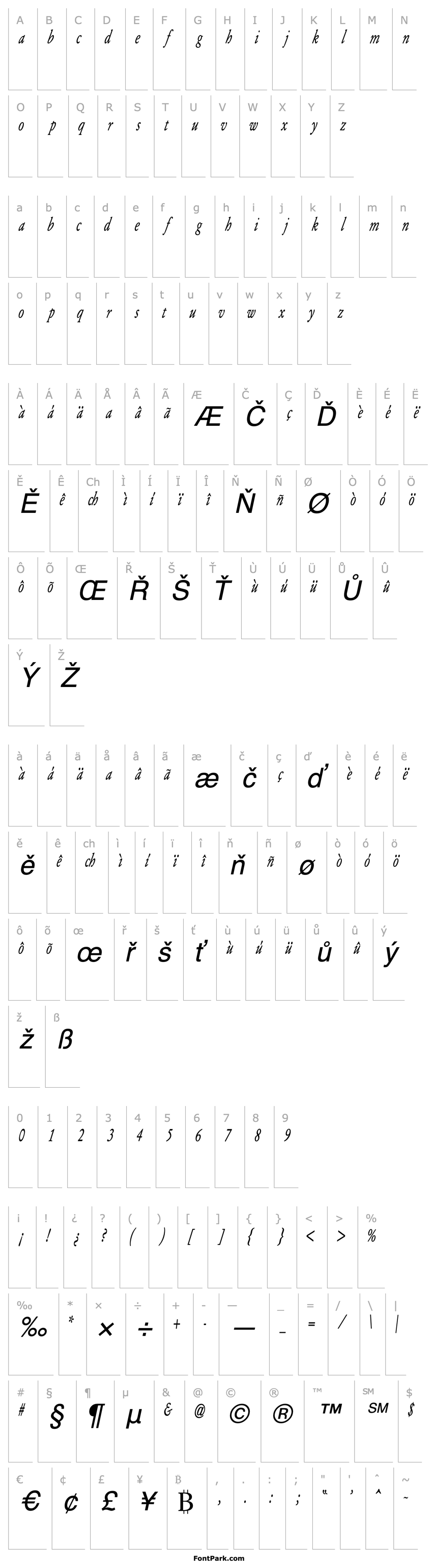 Overview Army of Darkness Italic