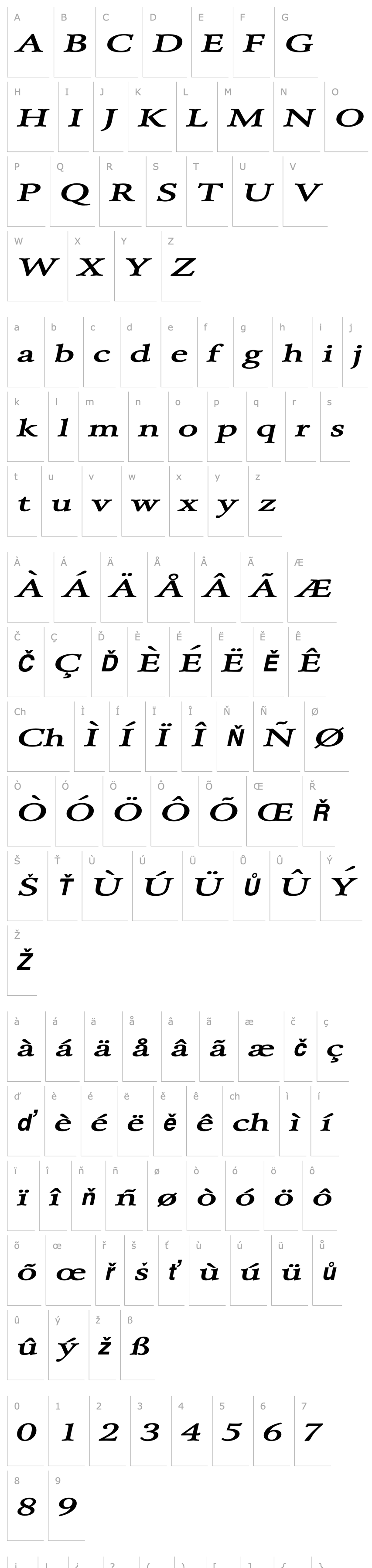 Overview Array Extended BoldItalic