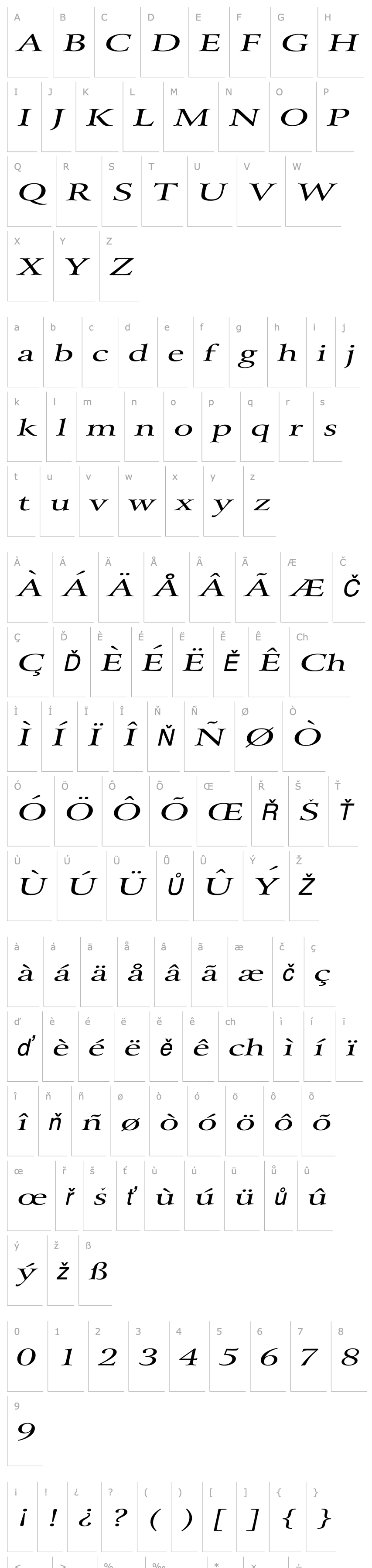 Přehled Array Extended Italic