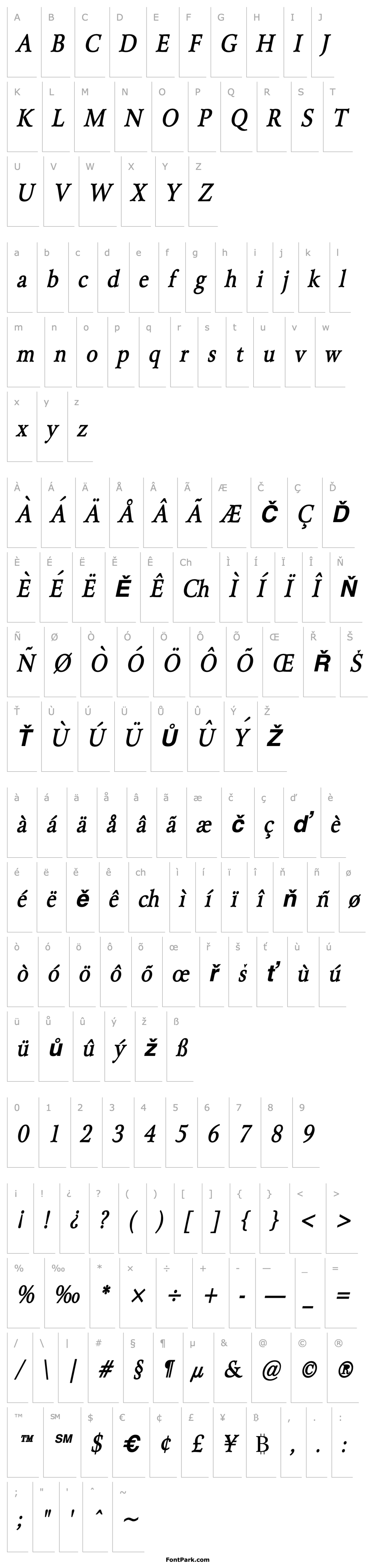 Overview Array Thin BoldItalic