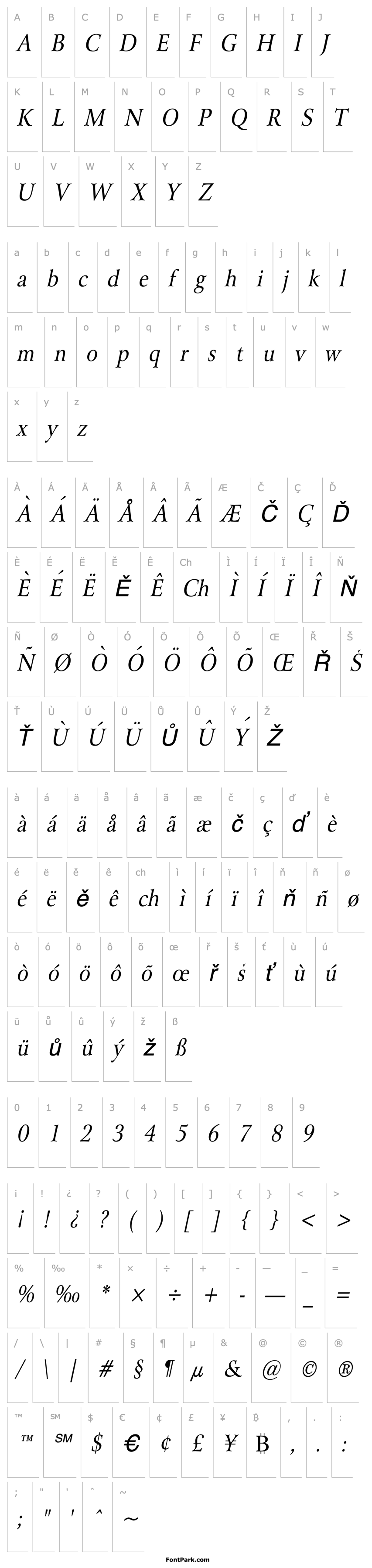 Přehled Array Thin Italic