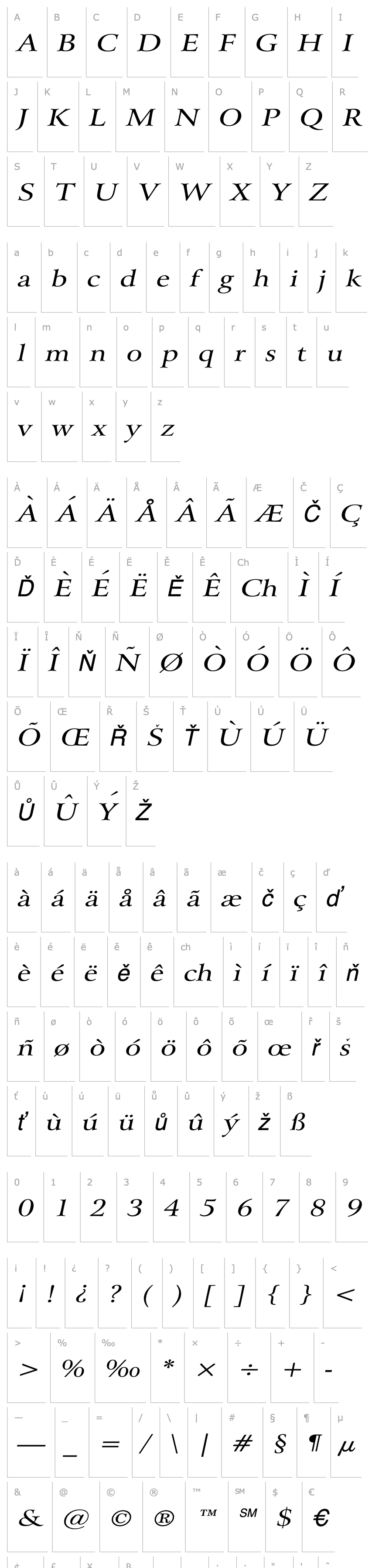 Přehled Array Wide Italic