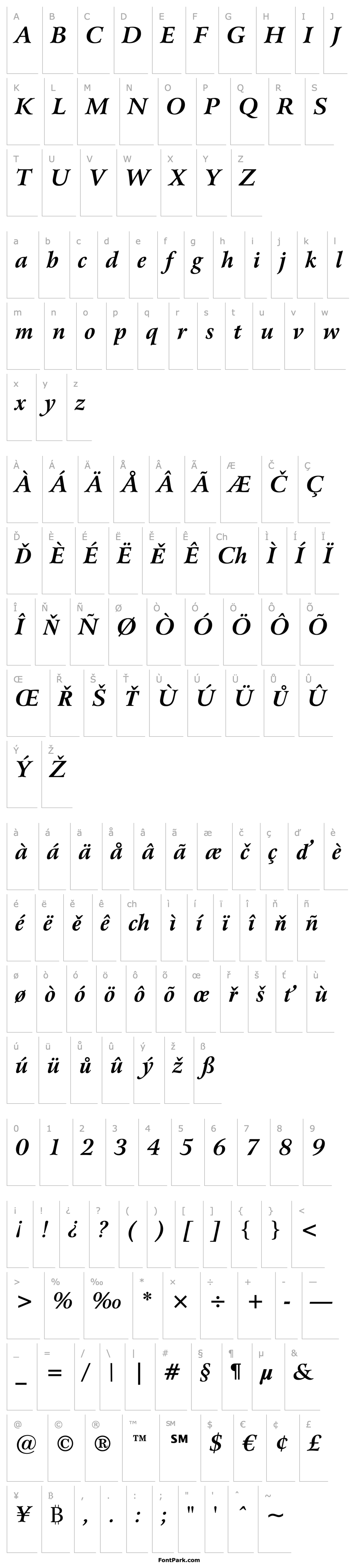 Overview Arrus BT Bold Italic