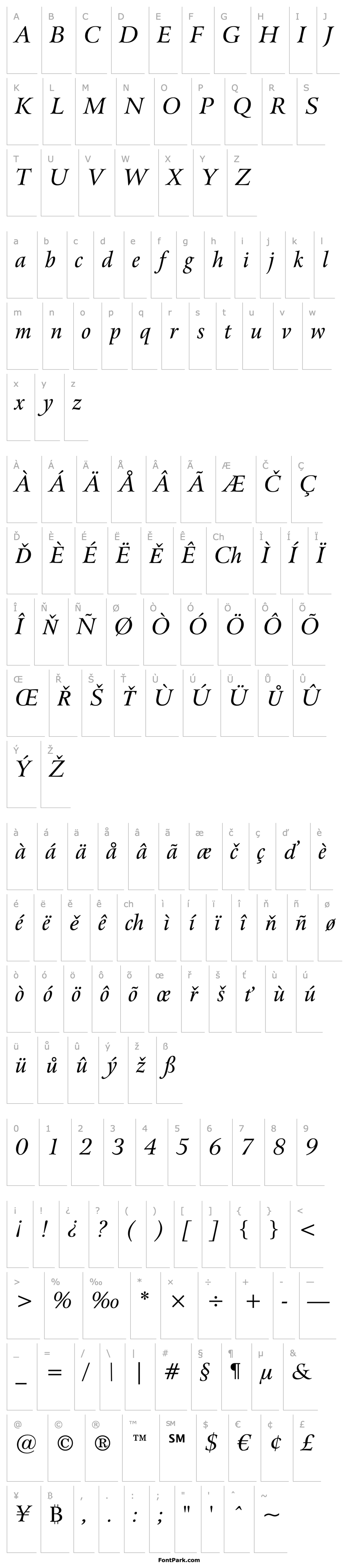 Overview Arrus BT Italic