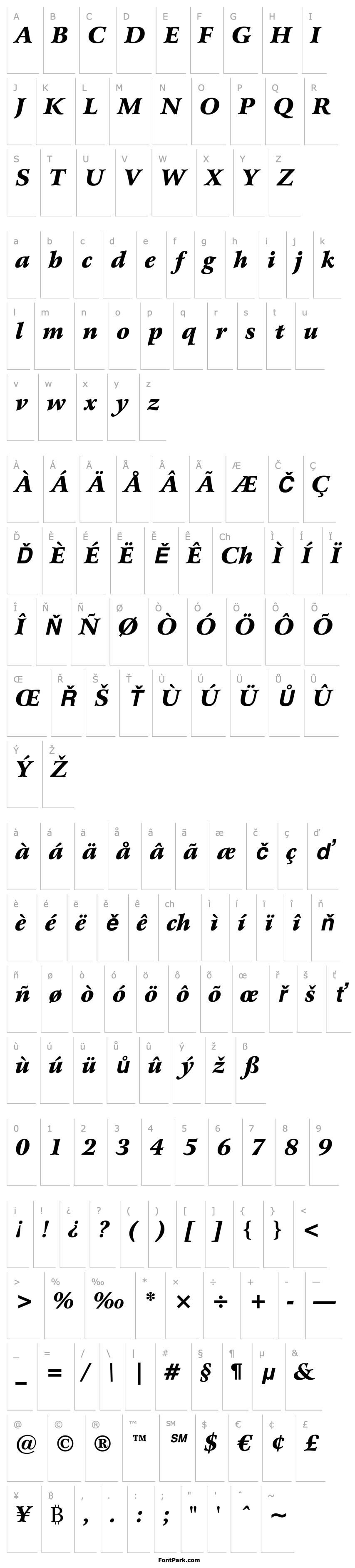 Overview ArrusBT-BlackItalic