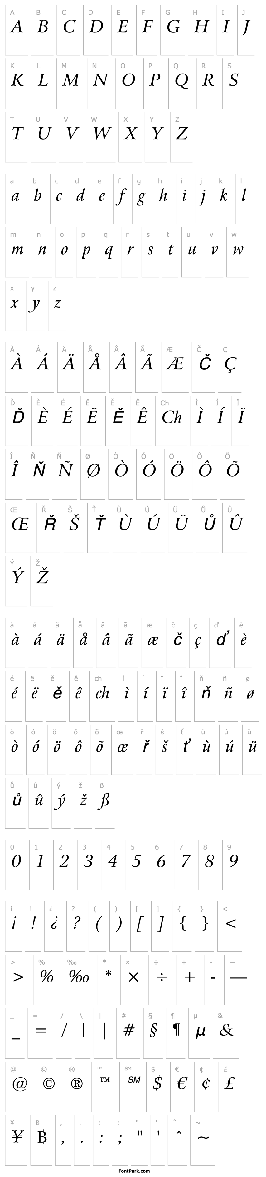 Overview ArrusBT-Italic