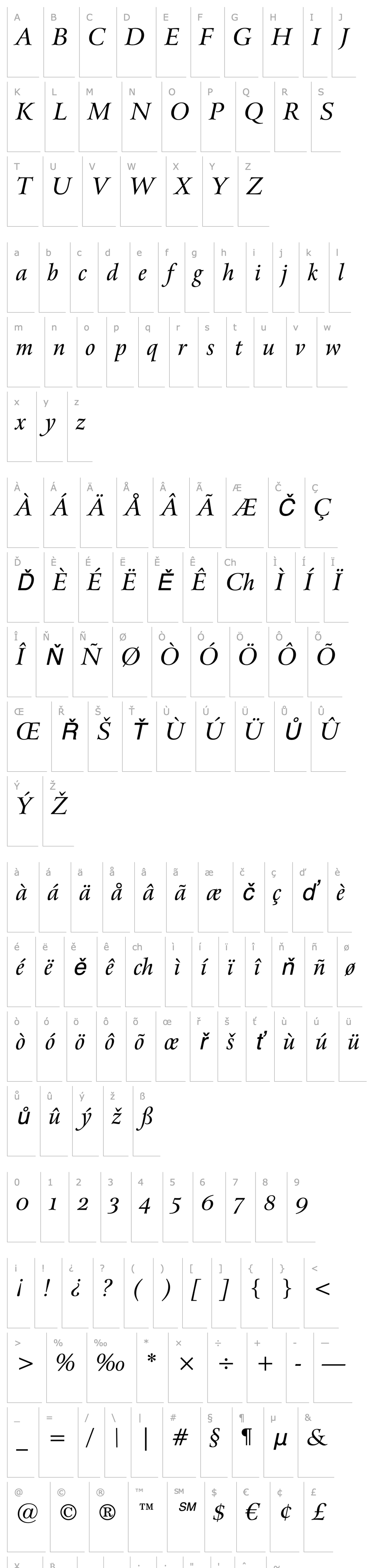 Overview ArrusOSFBT-Italic