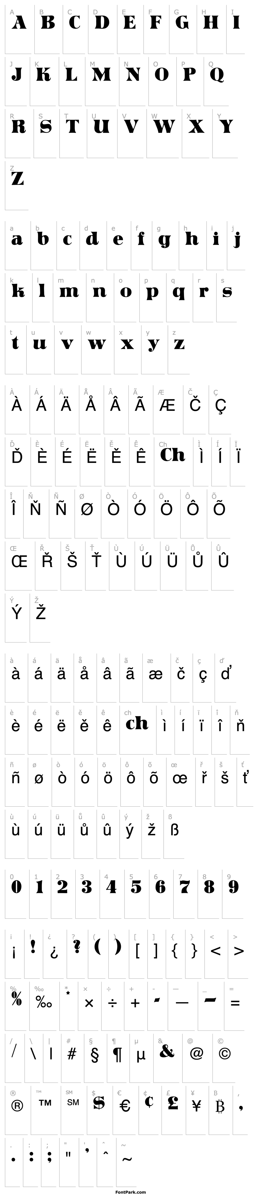 Přehled Articula Display SSi