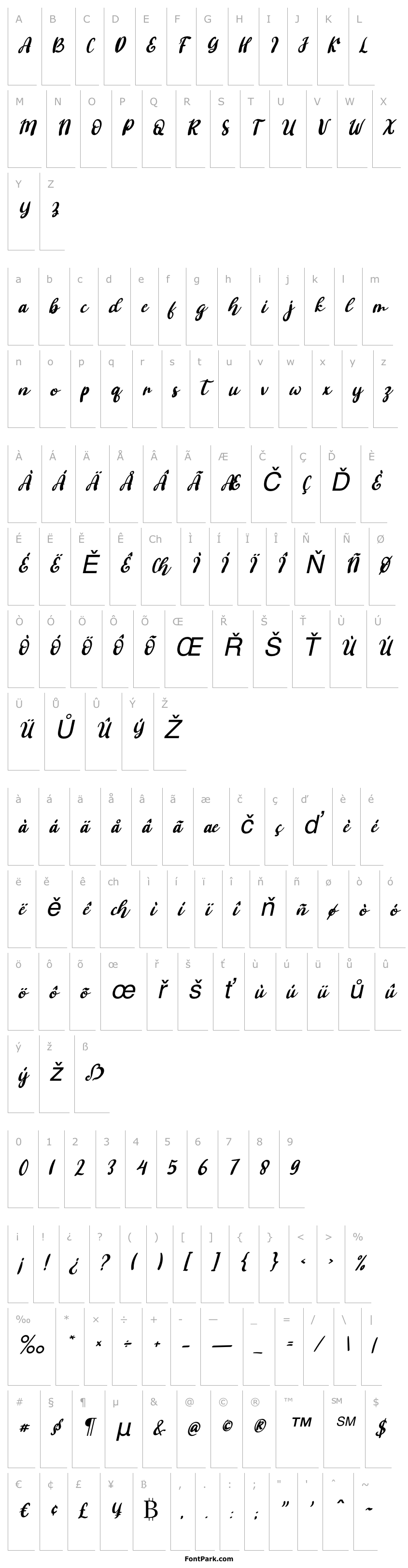 Overview Ashifa Italic