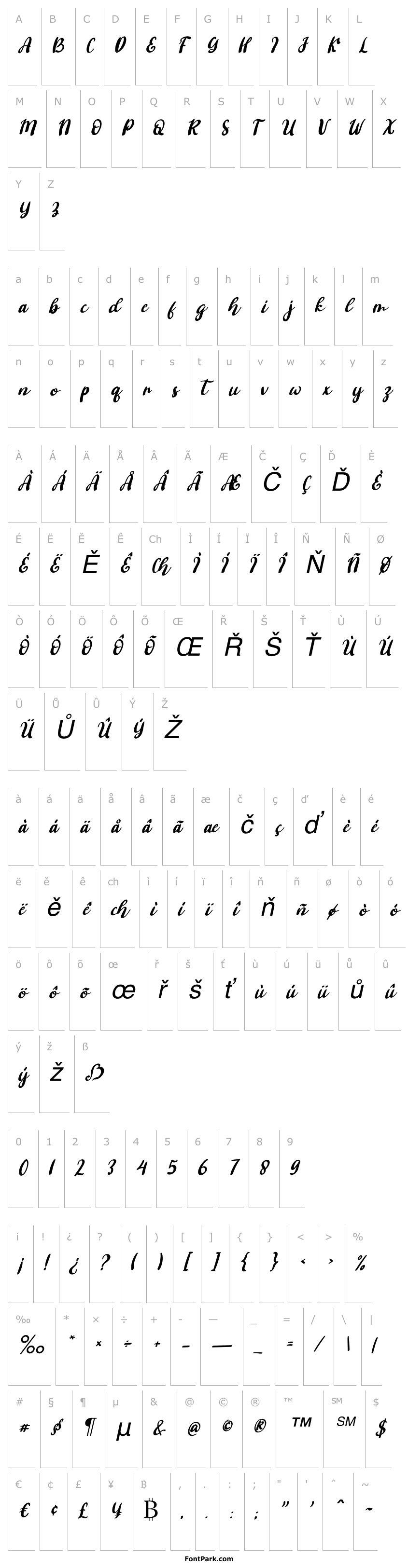 Přehled Ashifa Italic