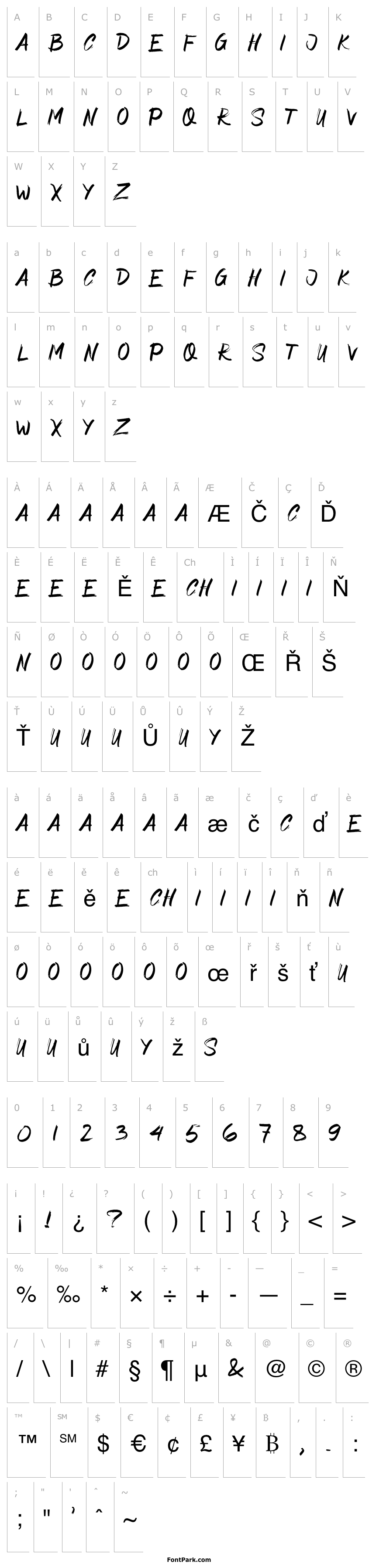 Overview Asimone Brush