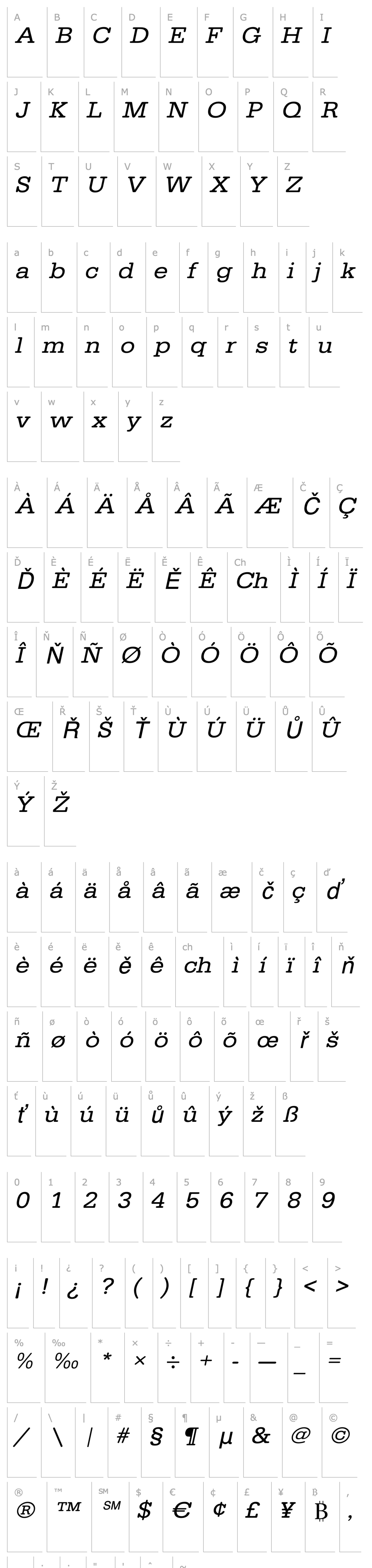 Overview AstridBeckerExtended Italic