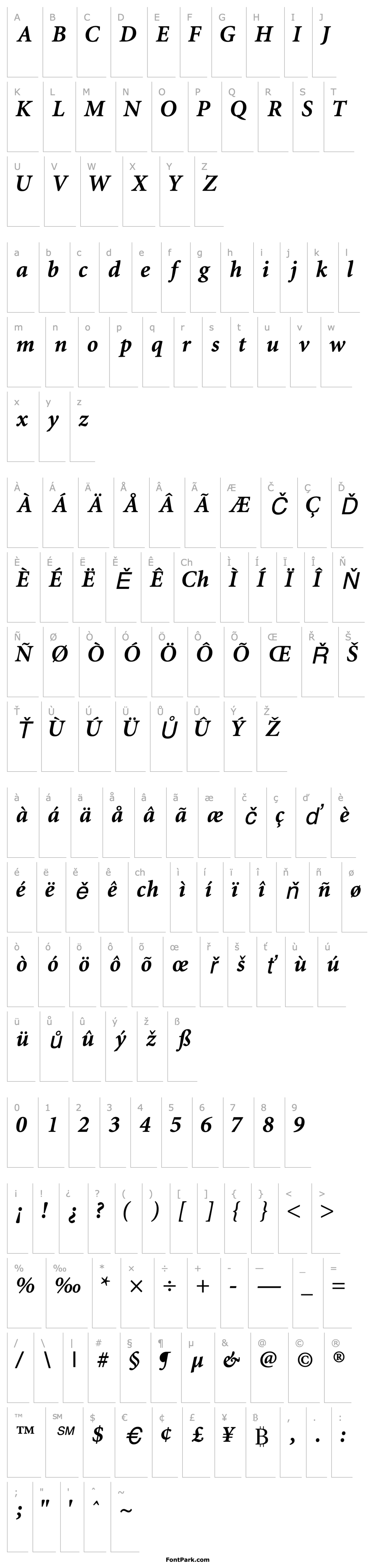 Přehled AtlantixBlackSSK Italic