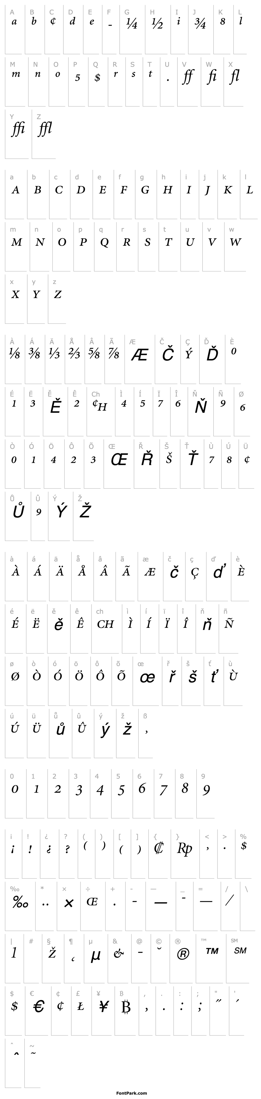 Přehled AtlantixProDisplaySSK Italic